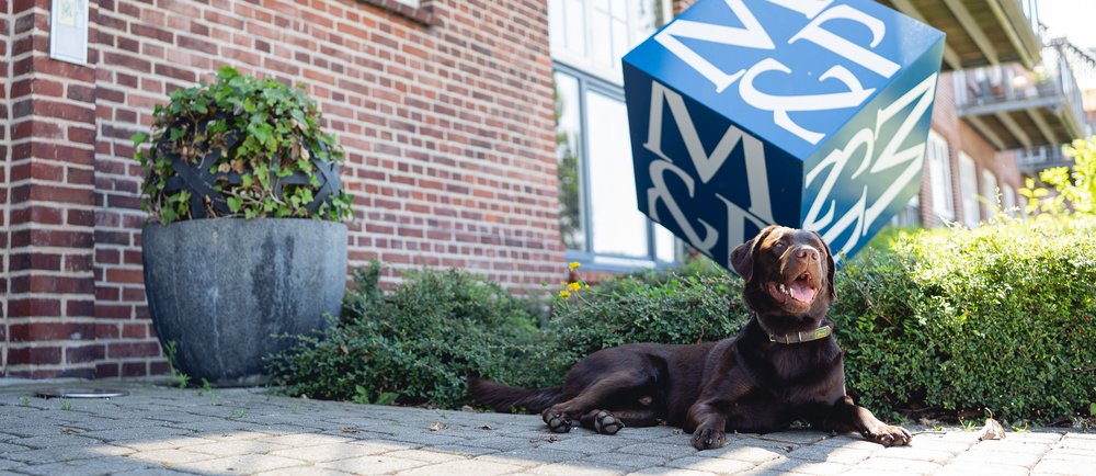 Ein Bild im Querformat als optischer Trenner zugehörig zum Abschnitt: Du passt perfekt zu uns in Team, wenn...